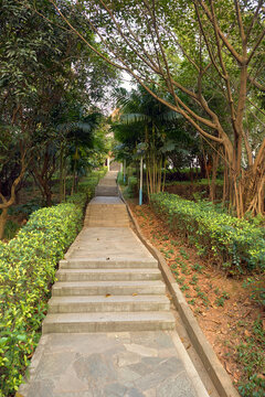 Park In Longgang District Of Shenzhen.