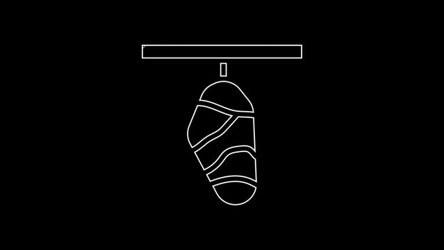 White line Butterfly cocoon icon isolated on black background. Pupa of the butterfly. 4K Video motion graphic animation