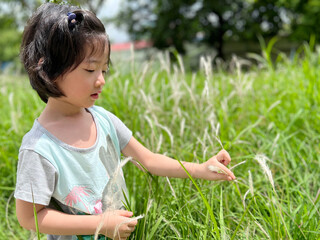 Beautiful little cute girl is picking up flower in the grass field with copy space