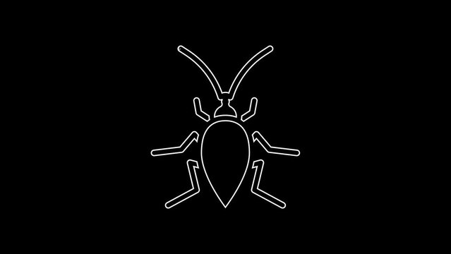 White line Cockroach icon isolated on black background. 4K Video motion graphic animation