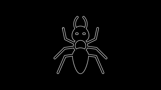 White line Ant icon isolated on black background. 4K Video motion graphic animation