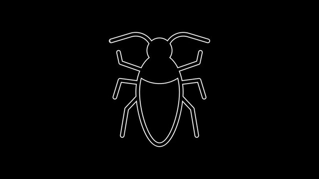 White line Cockroach icon isolated on black background. 4K Video motion graphic animation