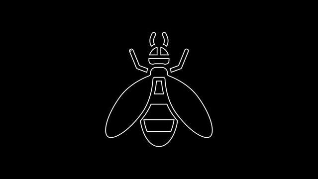 White line Bee icon isolated on black background. Sweet natural food. Honeybee or apis with wings symbol. Flying insect. 4K Video motion graphic animation