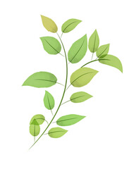 Delicate green watercolor branch070822