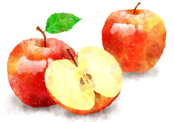 Illustration of apple fruit hand painting on a white background in watercolor format.