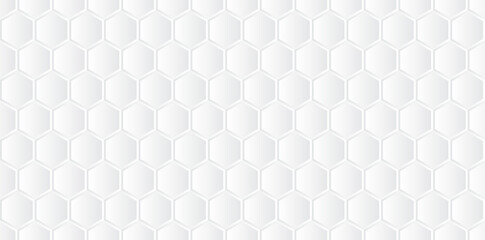 White honeycomb seamless texture background vector illustration