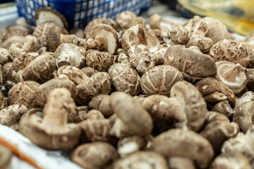 dried mushrooms on market stall