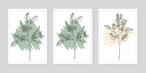 Contemporary art floral posters in trendy colors. Abstract hand drawing flowers and geometric elements and strokes, leaves and flower.
