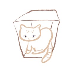 猫　箱　イラスト