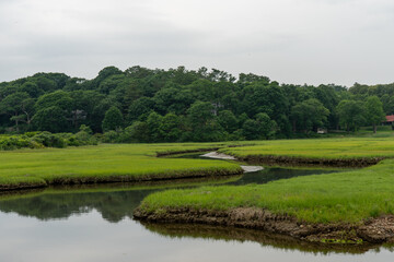 Estuary with vibrant green grass