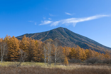 紅葉の戦場ヶ原から望む男体山／栃木県日光市
