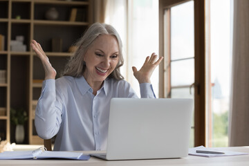 Cheerful excited mature business freelance woman receiving great good news, sitting at laptop at...