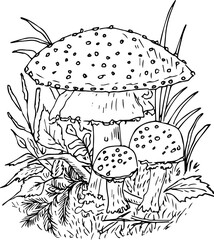 Doodle style illustration of mushrooms in the grass.Mushrooms and grass on a white background. A doodle-style drawing. Decorative element for design