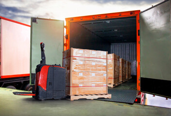 Packaging Boxes Wrapped Plastic Stacked on Pallets Loading into Cargo Container. Electric Forklift...