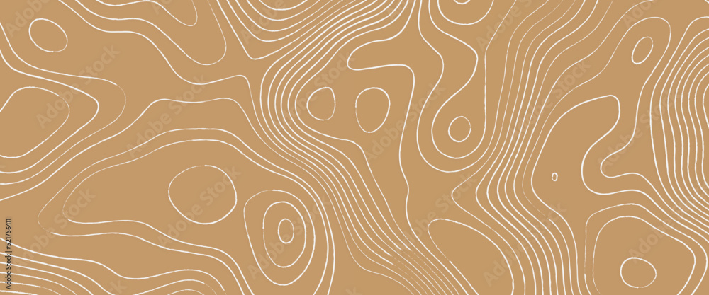 Poster abstract vector seamless pattern with linear stylized salmon fish fillet texture. vector background 
