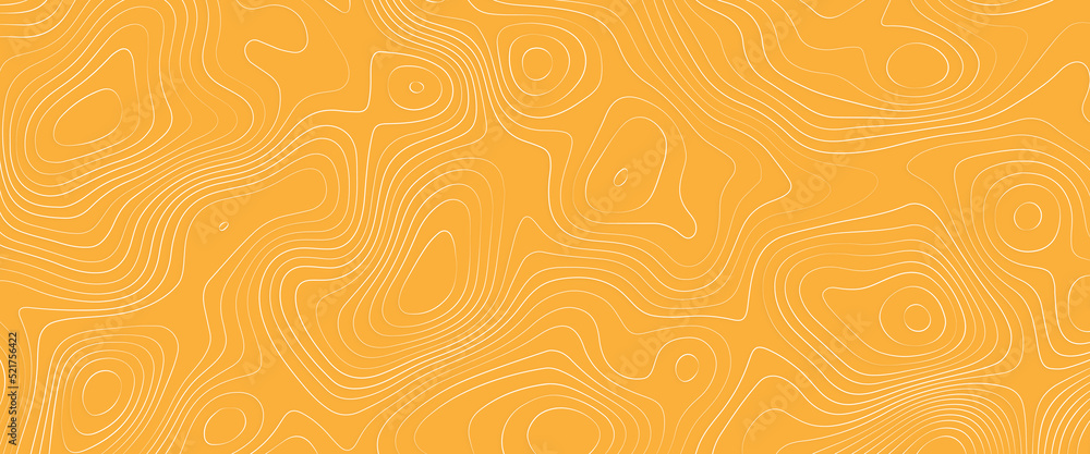 Poster abstract vector seamless pattern with linear stylized salmon fish fillet texture. vector background 