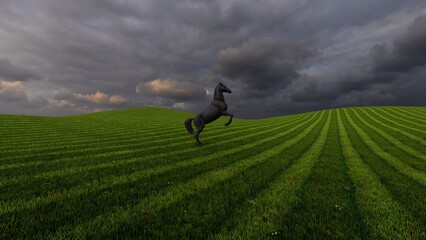 Obraz na płótnie Canvas horse in the nature background