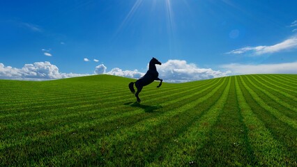 horse in the nature background