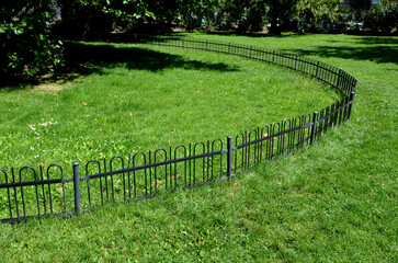 a circle fence made of metal black bars is low and formal in the historical park widely encircling the protected tree from the entry of people and dogs that urinate on the bark and damage it.