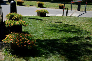 flower pot for road side palisades.gravel mulch gray,  filled with soil substrate. annuals matched in color with the orange facade of the house. 