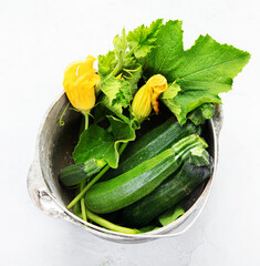 Composition with zucchini on neutral background.