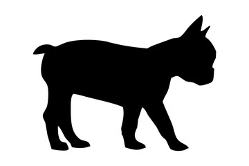 Silhouette of the body of a French bulldog standing on the side