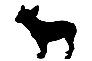 Silhouette of the body of a French bulldog standing on the side