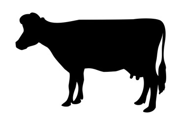 black silhouette of a cow's body standing on the side
