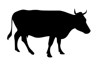 black silhouette of a cow's body standing on the side
