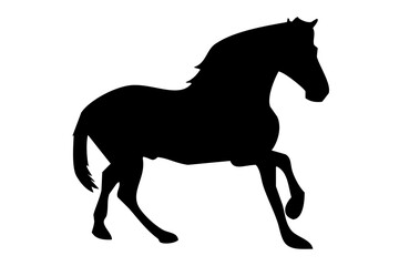 silhouette of a beautiful horse in a jump, on a white background