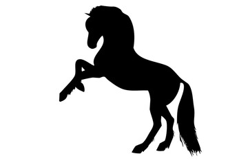 silhouette of a beautiful horse in a jump, on a white background - 521758875