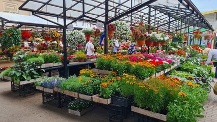 Many different varieties of flowers in beautiful colors in the city's agricultural market