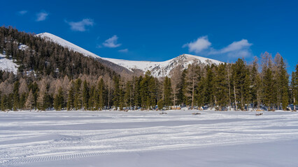 Snowmobile tracks are visible in the snowy valley. Picturesque mountains and forest against the blue sky. Altai