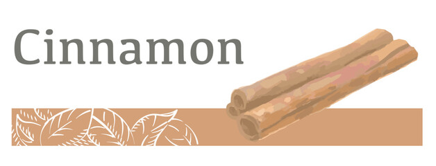 水彩風イラストを使ったシナモンのラベル素材。 ベクターイラスト。