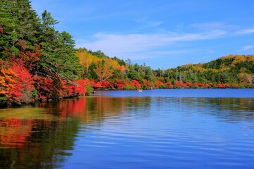 湖畔に映える紅葉