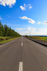 果てしなく続く道「秋の北海道」