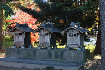 日本の埼玉県蓮田市にある神社の境内に建つ祠（ほこら）と森の様子