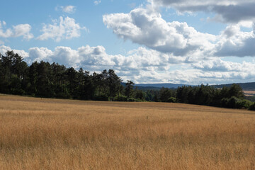 Obraz premium Landschaft im Sommer