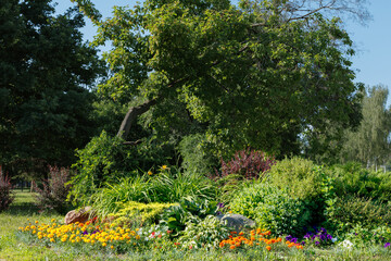 A flowerbed of various bushes, flowers and plants in a summer park.