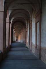 Fototapeta na wymiar Il Portico di San Luca a Bologna