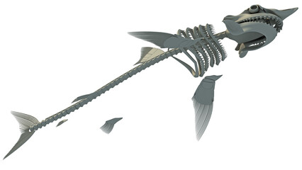 Obraz premium Great White Shark Skeleton 3D rendering