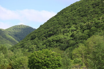 Fototapeta na wymiar 山（北海道然別）