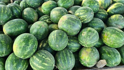 Many large ripened watermelons are stacked next to a plantation on the outskirts of the village