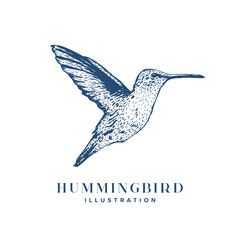Bird Illustration