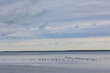 サロマ湖　キムアネップ岬「秋の北海道」