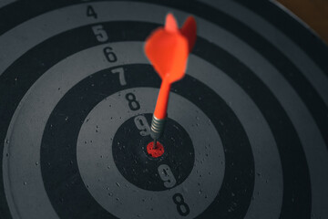 Bullseye is a target of business. Dart is an opportunity and Dartboard is the target and goal. So...