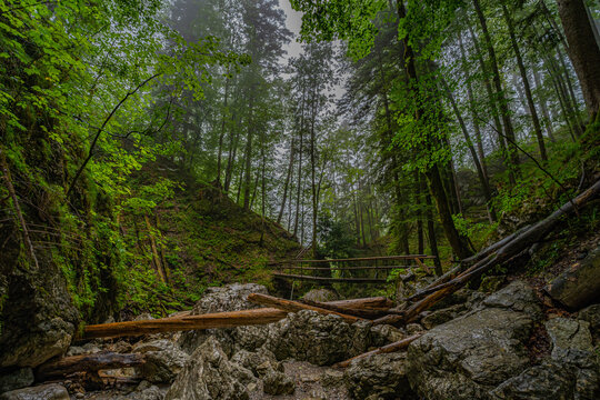 Sommer am Lainbach Wasserfall