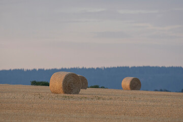 Strohballen auf dem Feld
