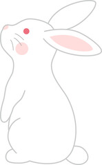 ウサギ　白うさぎ　白背景