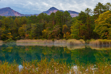 紅葉した福島の五色沼